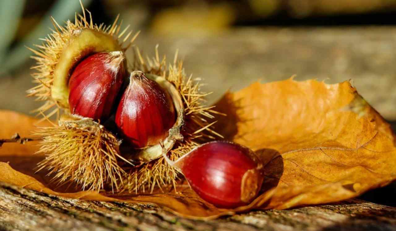 Come mangiare le castagne - NonSapeviChe