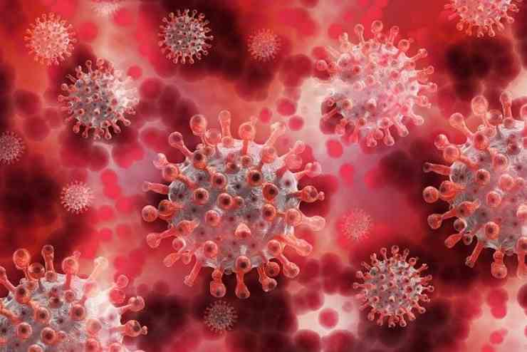 Coronavirus, come gli OMEGA 3 possono contrastare il covid e long covid