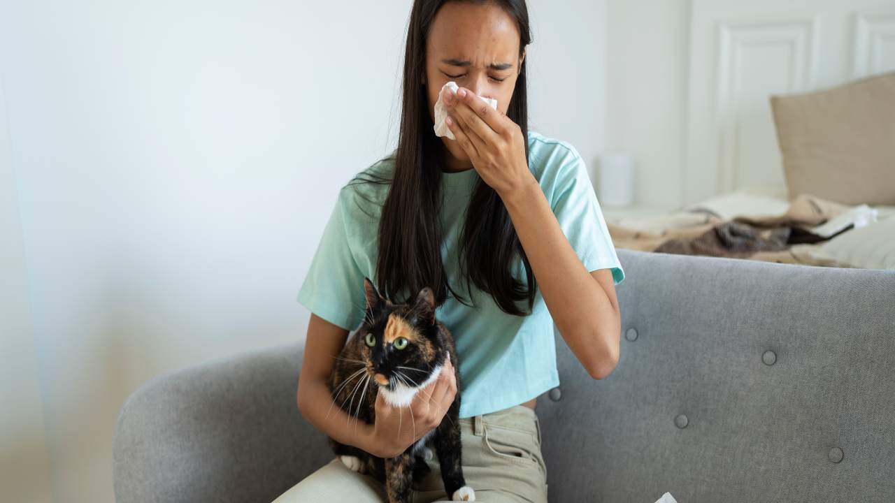 Allergia al gatto: i sintomi per riconoscerla e i rimedi