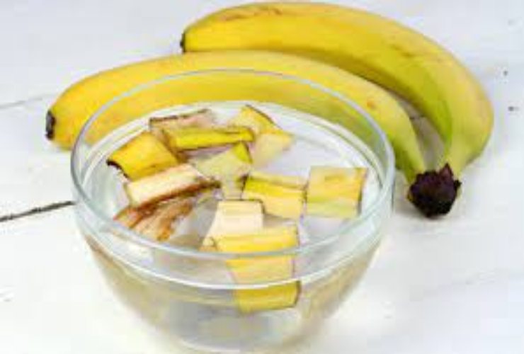Bucce di banana come fertilizzante - NonSapeviChe