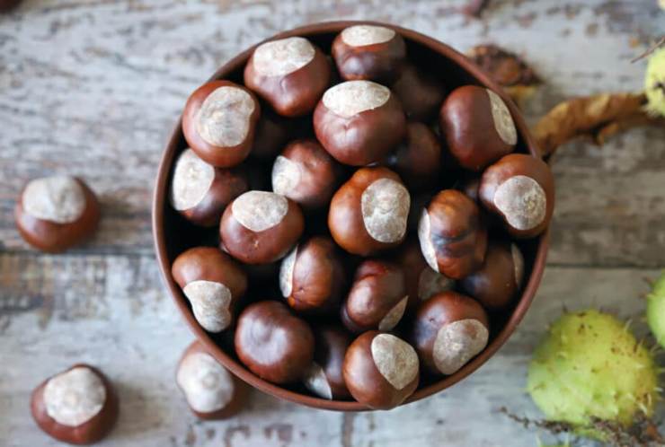 Castagne come mangiarele per non ingrassare - NonSapeviChe