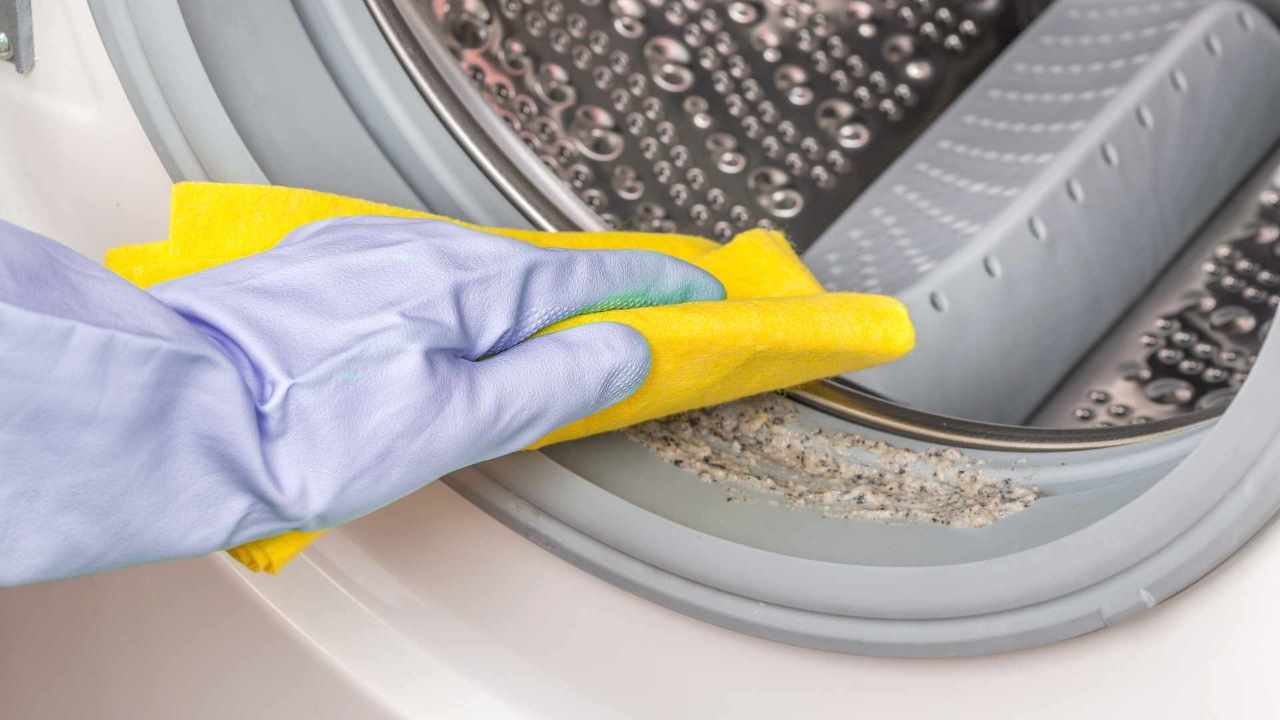 Igienizza e profuma la tua lavatrice con un colpo solo