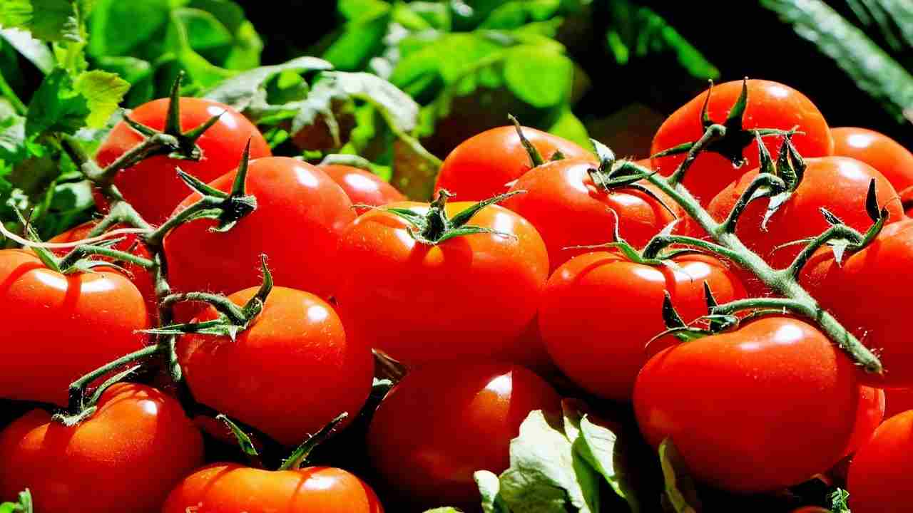 Pomodori, dentro o fuori dal frigo?