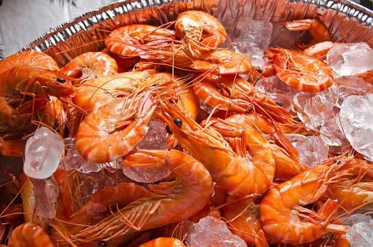 Crostacei altamente allergici, quando non devono essere consumati