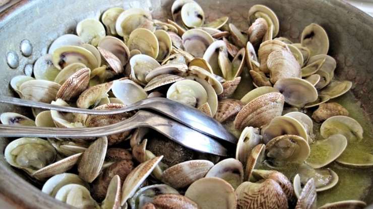 Come spurgare le vongole con questi 2 metodi infallibili