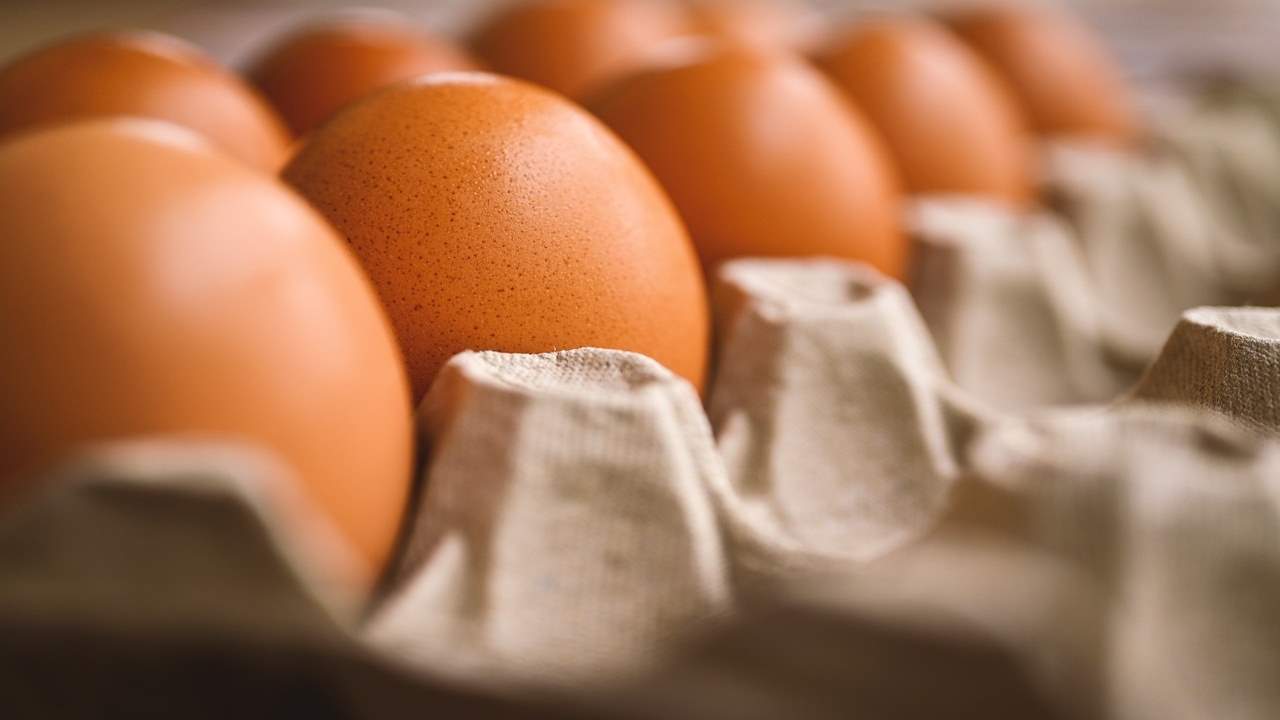 Uova scadute siamo sicuri che si possono mangiare